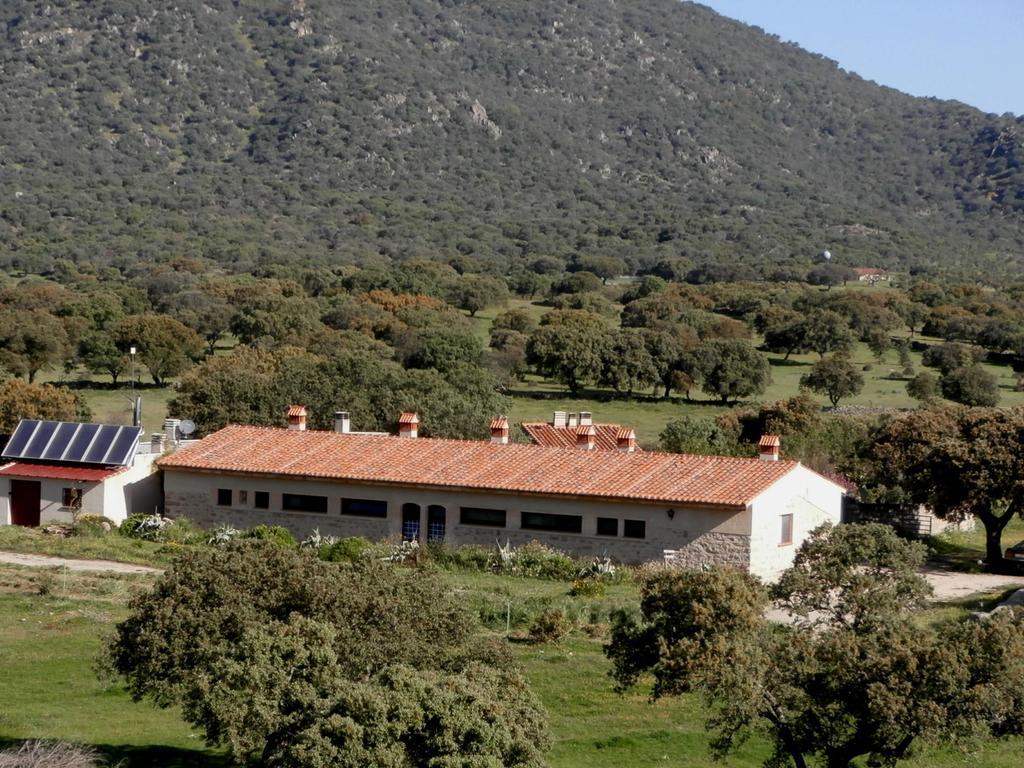 Almoharin Casa Rural Las Gamitas酒店 外观 照片